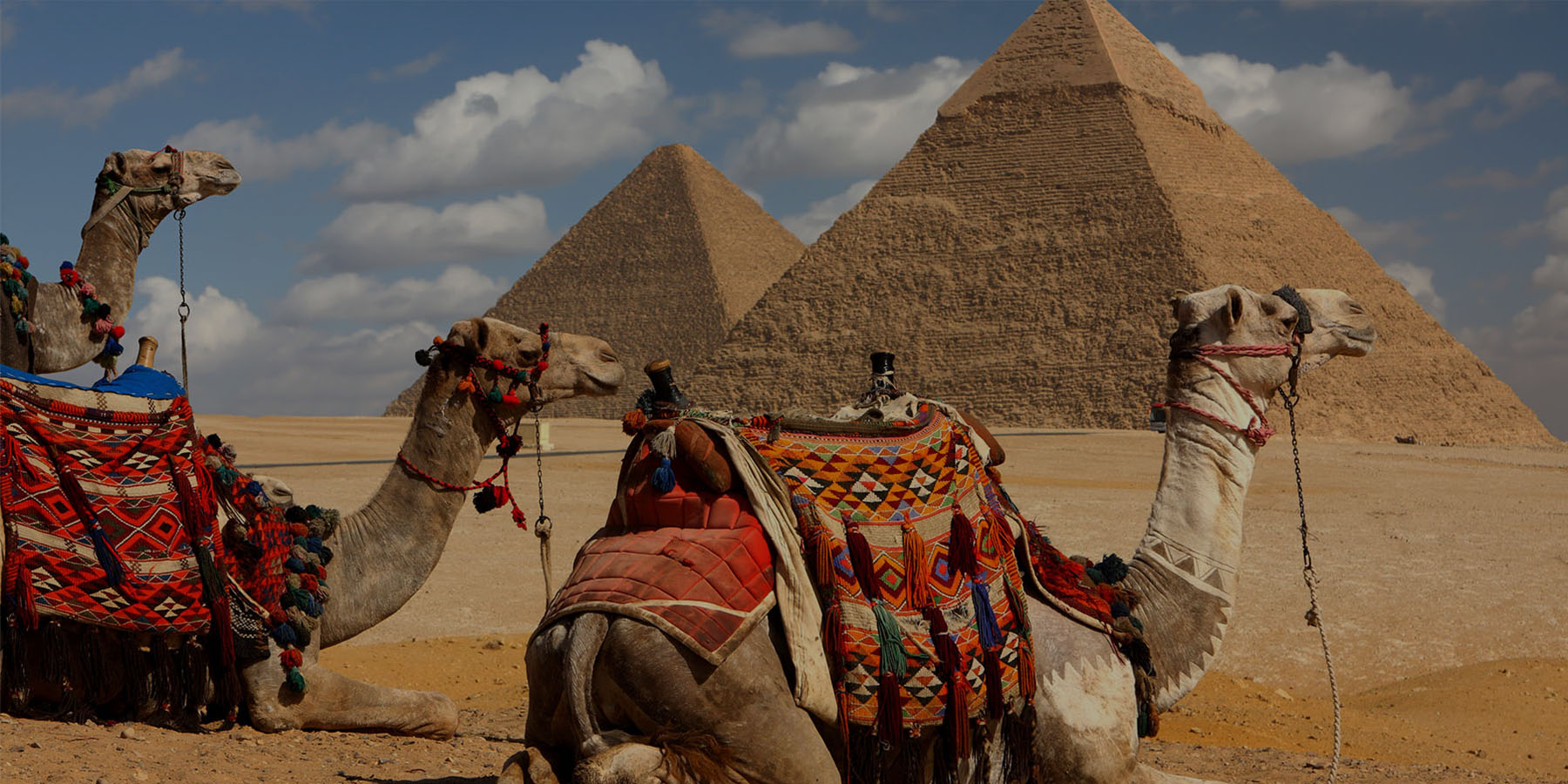 eco travel egypt